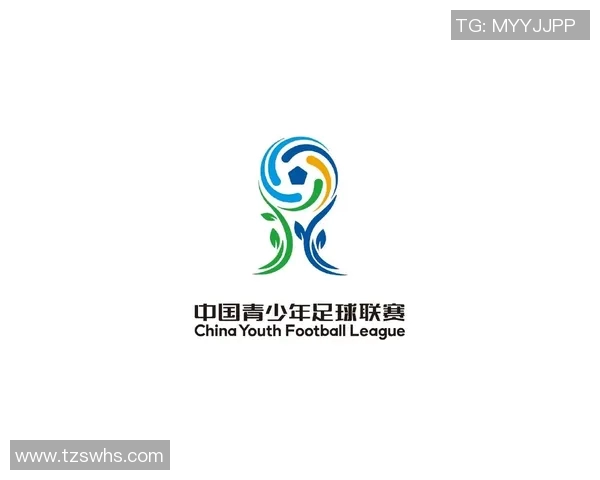 中国足球运动学院助力青少年足球发展培养未来足球人才的创新之路